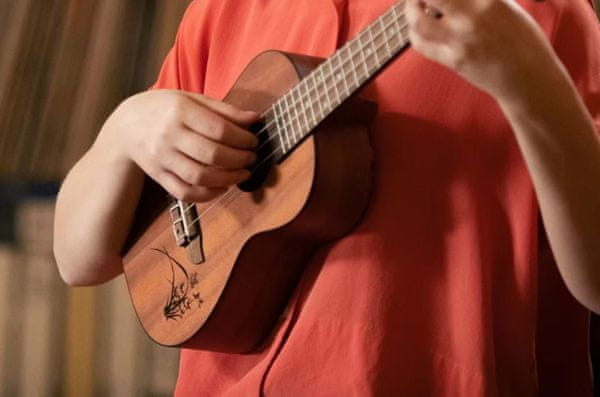 krásné koncertní ukulele Ortega RU5MM matná povrchová úprava 18 pražců plnohodnotný zvuk zhotovené ze dřeva sapele krásné také jako dárek
