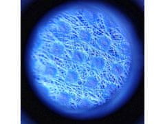 INTEREST Kapesní mikroskop - 60x zvětšení, UV světlo. UV ZOOM.