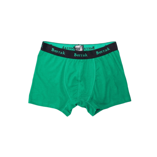BERRAK Zelené pánské boxerky BR-BK-4476.28P_353309