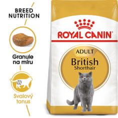 Royal Canin Royal Canin British Shorthair Adult - granule pro britské krátkosrsté kočky - 10kg