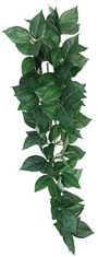 KOMODO Dekorace umělá rostlina - popínavá Sumatra 13cm