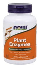 NOW Foods Plant Enzymes, rostlinné enzymy, 120 rostlinných kapslí