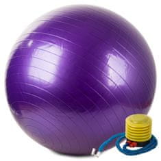 Iso Trade Gymnastický míč s pumpou 75cm | fialová