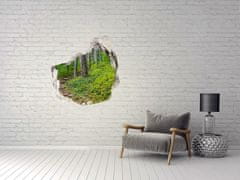 Wallmuralia Díra 3D ve zdi nálepka Lesní stezka 125x125 cm