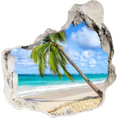 Wallmuralia Díra 3D ve zdi nálepka Tropická pláž 75x75 cm