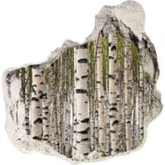 Wallmuralia Samolepící nálepka na zeď Břízový les 75x75 cm