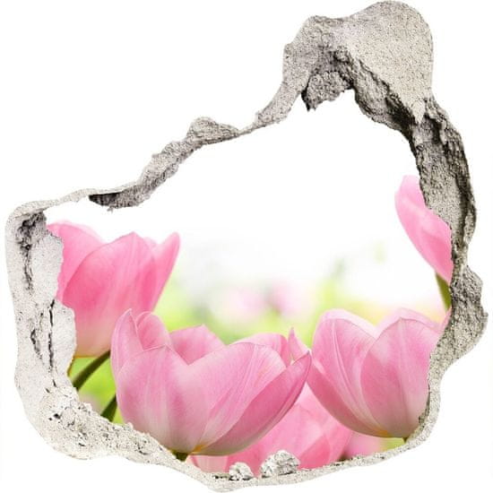 Wallmuralia Samolepící díra nálepka Růžové tulipány
