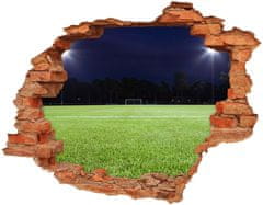 Wallmuralia Fototapeta díra na zeď 3D Fotbalové hřiště 120x93 cm
