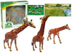 shumee Vzdělávací figurky žiraf Rodina 3 kusy + pozadí Afriky