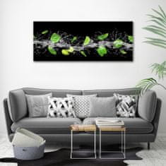 Wallmuralia Foto obraz canvas Limetka s mátou 125x50 cm