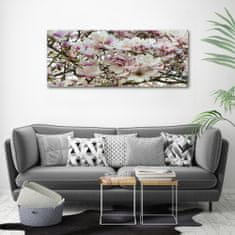 Wallmuralia Foto-obraz canvas do obýváku Květiny magnolie 125x50 cm