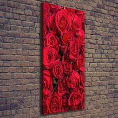 Wallmuralia Foto-obraz canvas do obýváku Červené růže 50x125 cm