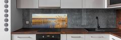 Wallmuralia Panel do kuchyně Vodní třtina 125x50 cm