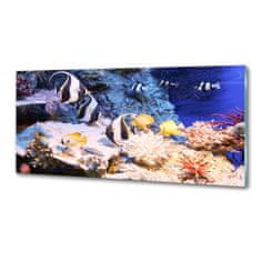 Wallmuralia Dekorační panel Korálový útes 125x50 cm