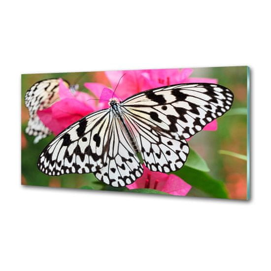 Wallmuralia Panel do kuchyně Motýl na květině