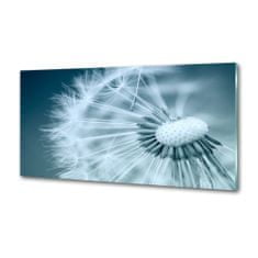 Wallmuralia Dekorační panel sklo Pampeliška 100x50 cm