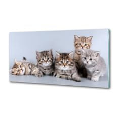 Wallmuralia Dekorační panel sklo Pět koček 120x60 cm