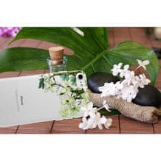Telone Floral pouzdro pro Samsung Galaxy S8 - Transparentní KP18124