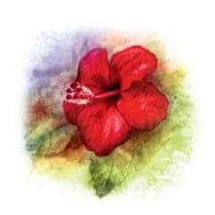 MycoMedica YaoMedica Rudý květ 50ml