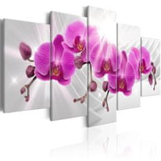 Artgeist Obraz - Abstraktní zahrada: Růžové orchideje 200x100