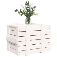 Greatstore Úložný box bílý 58 x 40,5 x 42 cm masivní borové dřevo