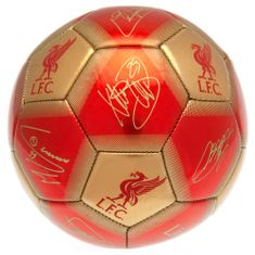 FotbalFans Fotbalový míč Liverpool FC Signature 21 vel. 5
