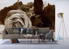 AG Design Černobílá růže, fototapeta, 360 x 270 cm