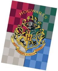 Warner Bros Dětská fleecová deka 140x100 cm - Harry Potter / Hogwarts