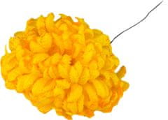 Chryzantéma vosková - žlutooranžová (14 cm) - 24 ks