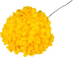 Chryzantéma vosková - žlutá (14 cm) - 24 ks