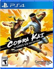 Maximum Games Cobra Kai The Karate Kid Saga PS4