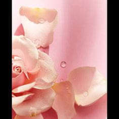 Nivea Pečující sprchový gel Care & Roses (Objem 250 ml)