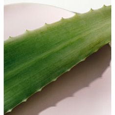 Nivea Lehké tělové mléko Aloe Hydration (Body Lotion) (Objem 400 ml)