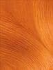 Garnier 60g olia, 7,40 intense copper, barva na vlasy