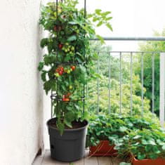 Sada 3X Květináč Na Pěstování Rajčat Tomato Grower 392X1530 Mm - Antracit