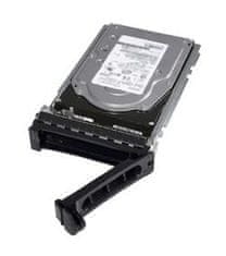 DELL 2TB 7.2K RPM NLSAS ISE 12Gbps 512n 3.5in Hot-Plug Hard Drive CK