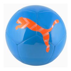 Puma Míče fotbalové modré 5 Icon Ball