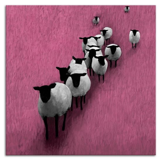 LUDESIGN Obraz na plátně SHEEP B různé rozměry Ludesign ludesign obrazy: 50x50 cm