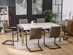 Beliani Sada 2 jídelních židlí v hnědé barvě z ekokůže BRANDOL