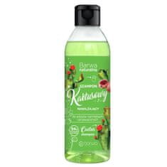 BARWA Přírodní kaktusový hydratační šampon pro normální a suché vlasy 300 ml