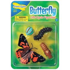 Insect Lore Životní cyklus - Motýl