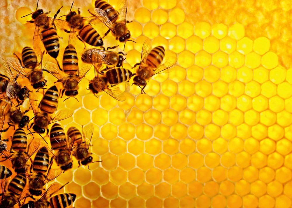 Levně Ravensburger puzzle 173624 Challenge Puzzle: Včely na medové plástvi 1000 dílků