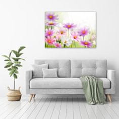 Wallmuralia Foto obraz canvas Květiny na louce 100x70 cm