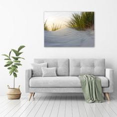 Wallmuralia Foto obraz canvas Mořské duny 100x70 cm