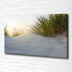 Wallmuralia Foto obraz canvas Mořské duny 100x70 cm