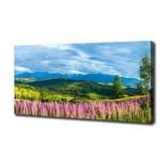 Wallmuralia Foto obraz canvas Levandule v horách 140x70 cm