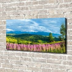 Wallmuralia Foto obraz canvas Levandule v horách 140x70 cm