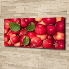 Wallmuralia Foto obraz canvas Červené jablko 125x50 cm