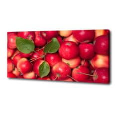 Wallmuralia Foto obraz canvas Červené jablko 125x50 cm