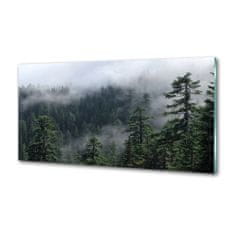 Wallmuralia Dekorační panel sklo Lesní mlha 140x70 cm